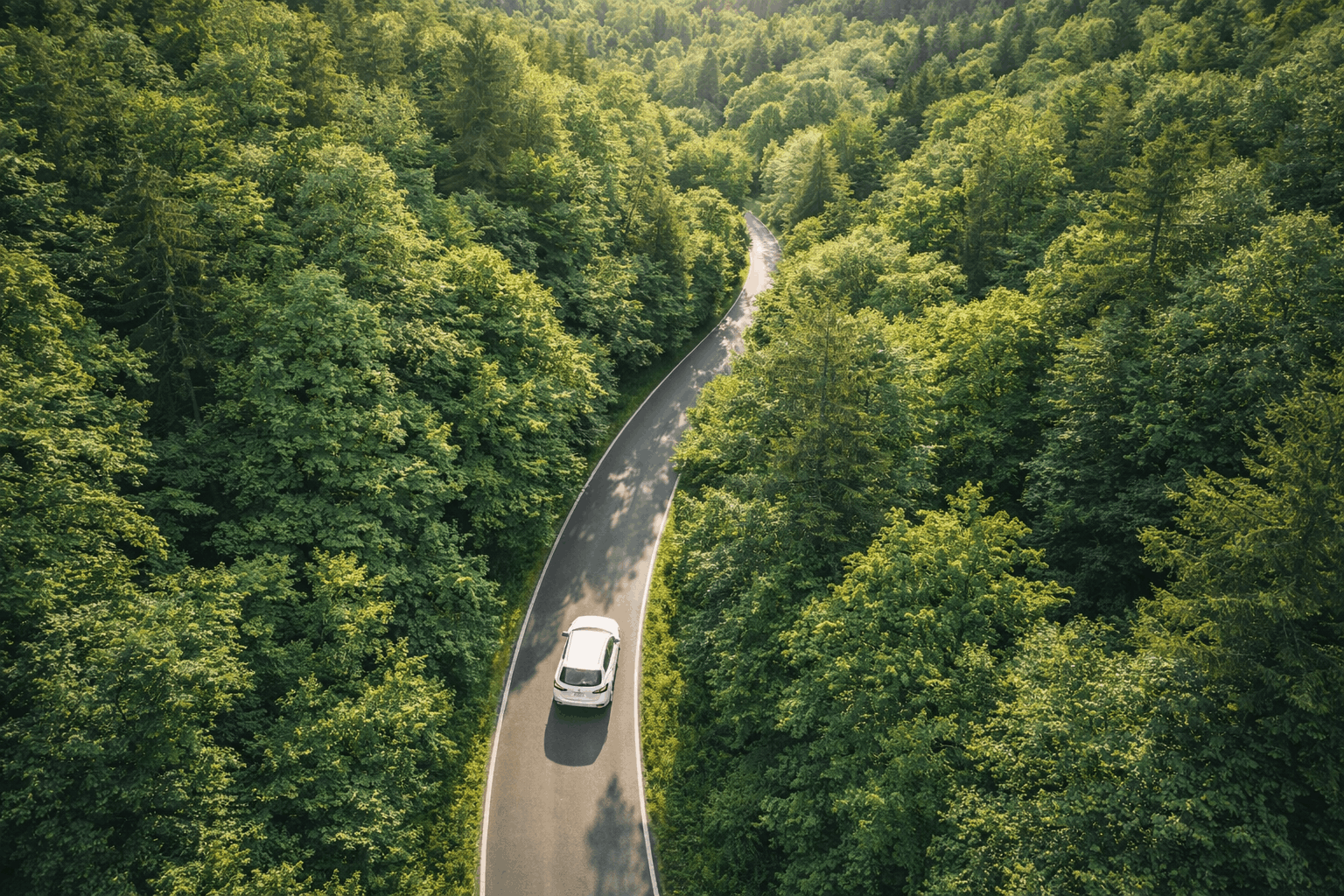 Nachhaltige Flottenstrategie